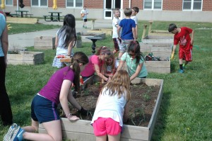 Live Civilly Spring Garden